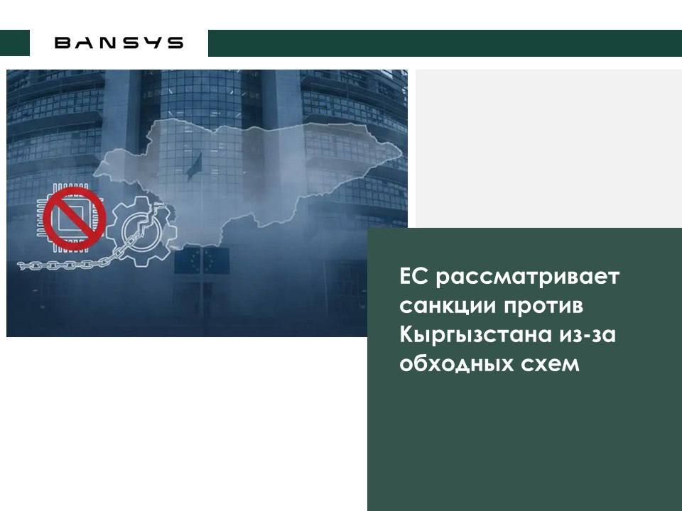 ЕС рассматривает санкции против Кыргызстана из-за обходных схем
