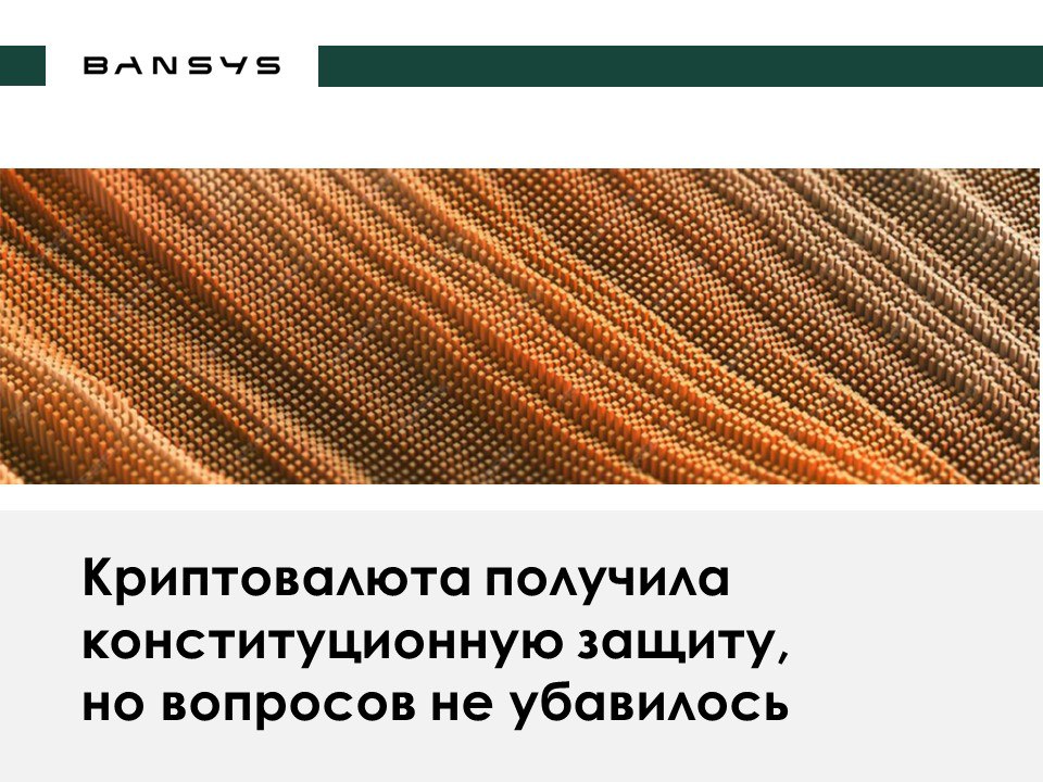Криптовалюта получила конституционную защиту, но вопросов не убавилось